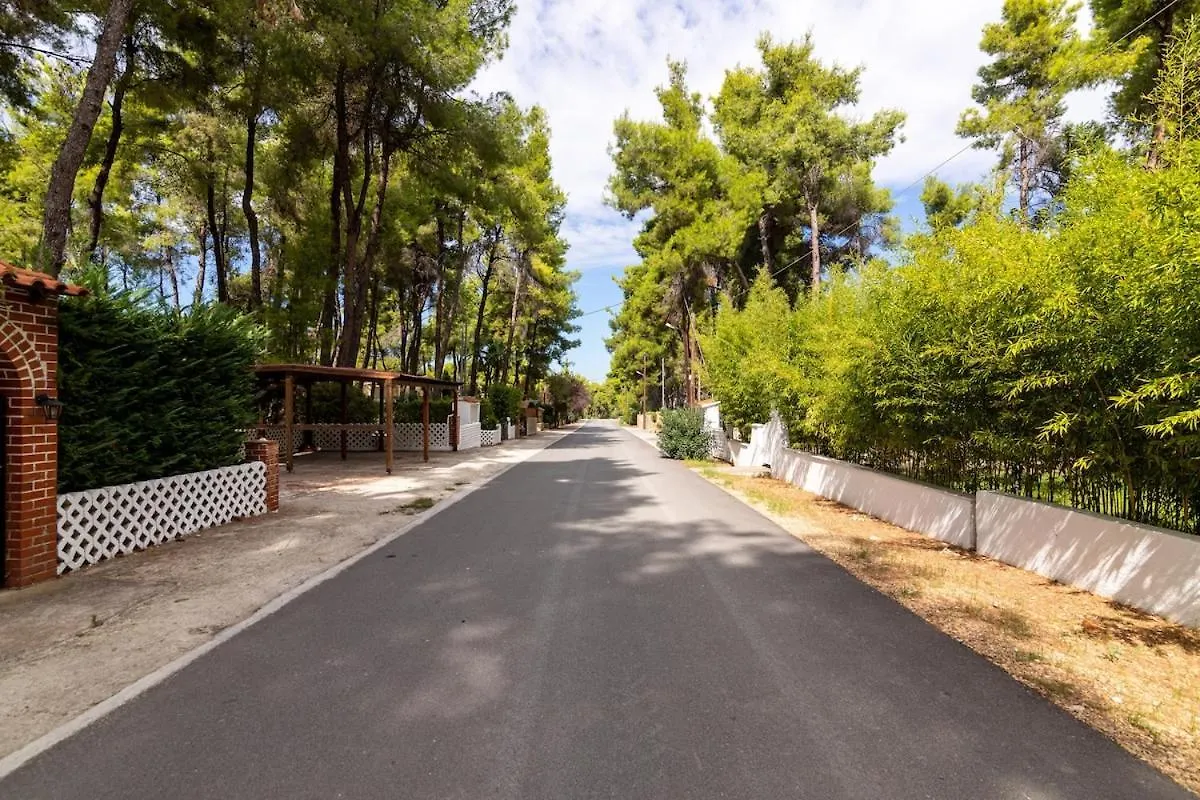 Montagna - Sani Villa Elani Greece