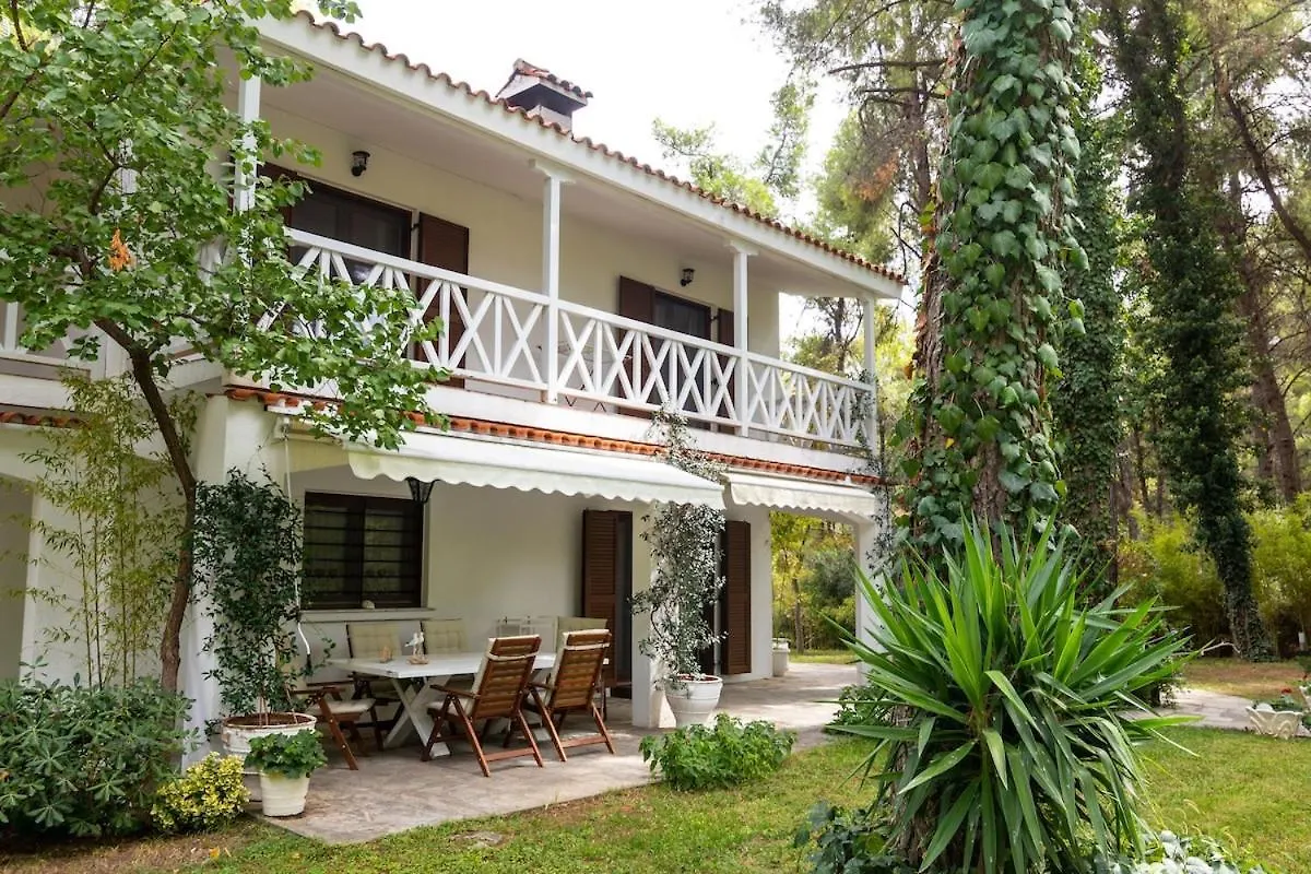 Montagna - Sani Villa Elani Greece